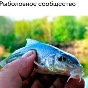 Всякое разное