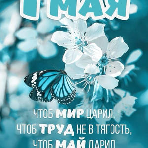 Всякое разное