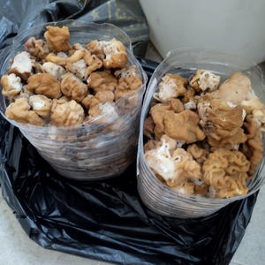 Вкуснотень
