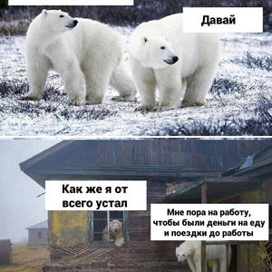 Братья меньшие