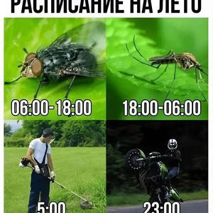 Всякое разное