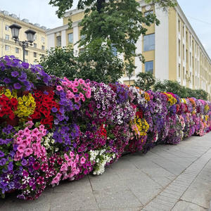 Всякое разное
