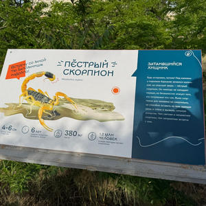 Путешествия