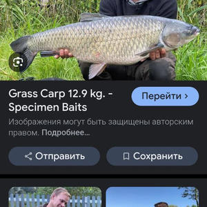 Всякое разное