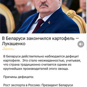 Дача и грядки
