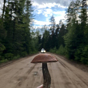 Про Селигер