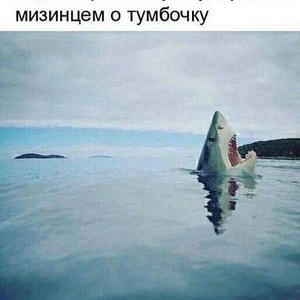 Братья меньшие