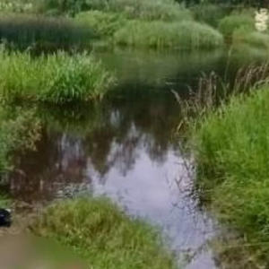 В реке Большая Коша в Селижаровском округе утонула девушка