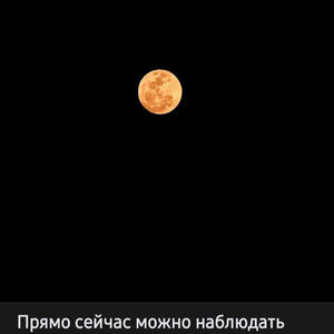 Всякое разное