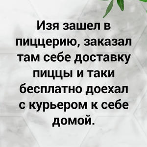 Пикейные жилеты