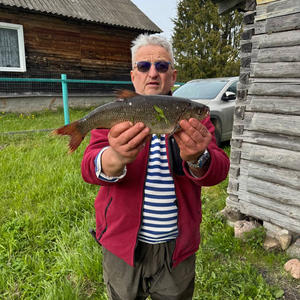 Всякое разное