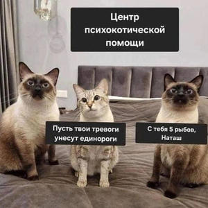 Братья меньшие