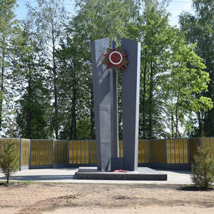 В Пено отметили День муниципального округа с турнирами и выставками