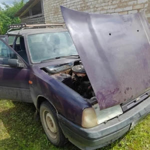 В Селижарово пьяные отец с сыном угнали автомобиль «с толкача»