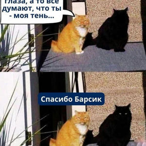 Братья меньшие