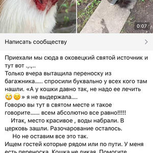 Братья меньшие