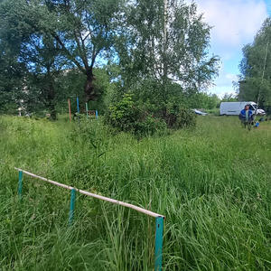 В Осташковском округе оштрафовали на 126 тысяч рублей за нарушения благоустройства
