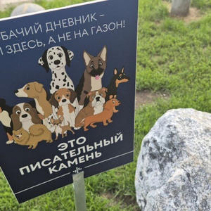 Братья меньшие