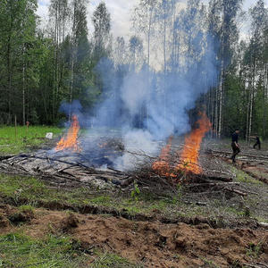 В Пеновском районе ученые сожгли лес ради древнего эксперимента