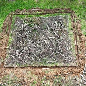 В Пеновском районе ученые сожгли лес ради древнего эксперимента
