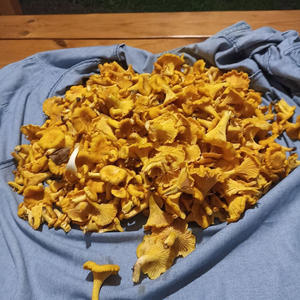 Вкуснотень