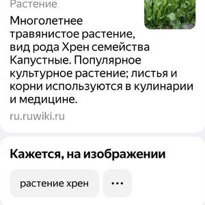 Дача и грядки