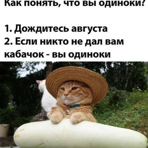 Всякое разное