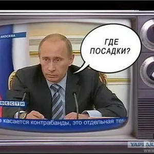Дача и грядки