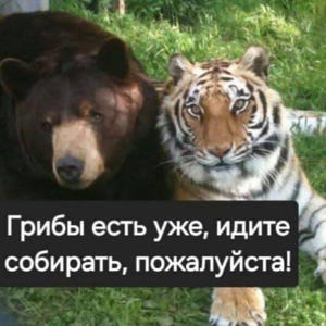 Вкуснотень