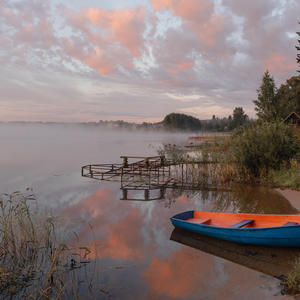 Рассветная тишина у кромки воды