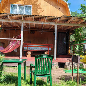 Чайка