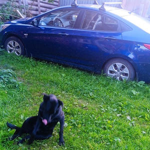 Поделки-самоделки