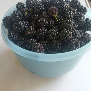 Вкуснотень