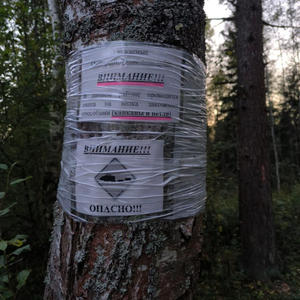 Путешествия