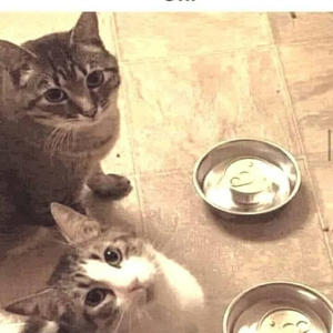 Братья меньшие