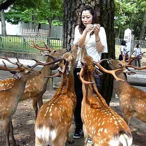 Братья меньшие