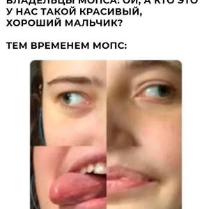 Братья меньшие