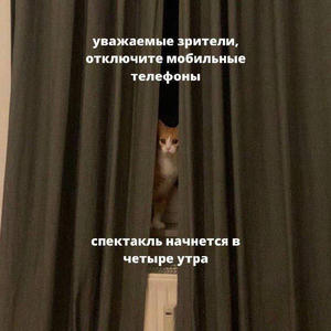 Братья меньшие