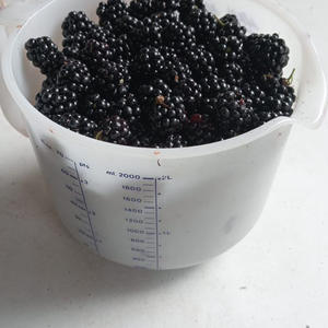 Вкуснотень