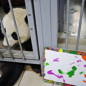 Братья меньшие