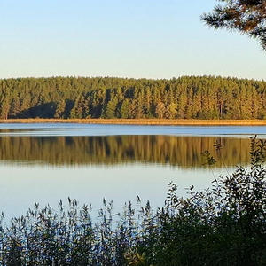 Зеркальная тишина осеннего берега