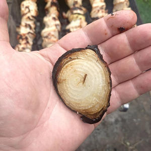 Вкуснотень