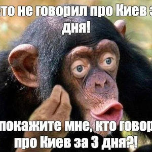 Пикейные жилеты