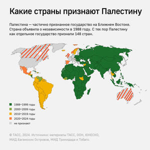 Пикейные жилеты