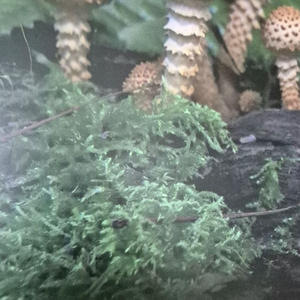 Путешествия