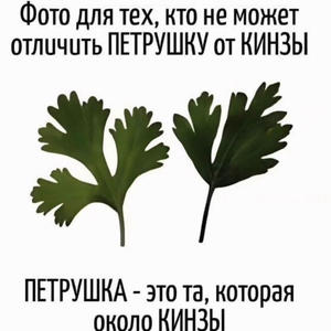 Вкуснотень
