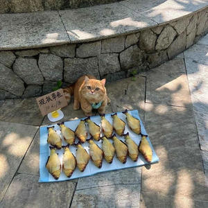 Братья меньшие