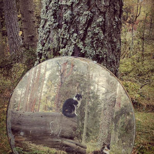 Братья меньшие