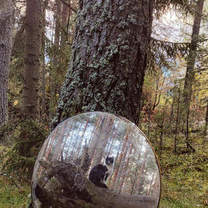 Братья меньшие