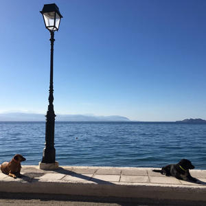 Путешествия